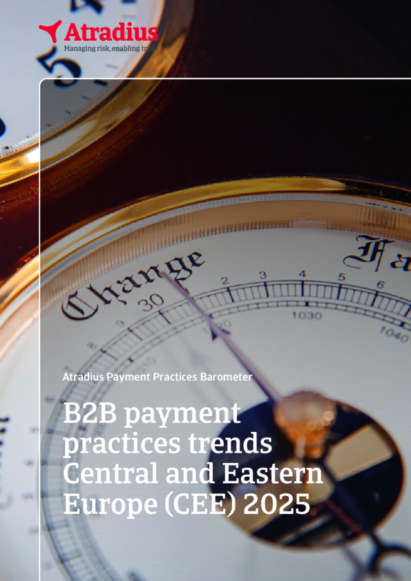 2025年中欧与东欧B2B支付实践趋势