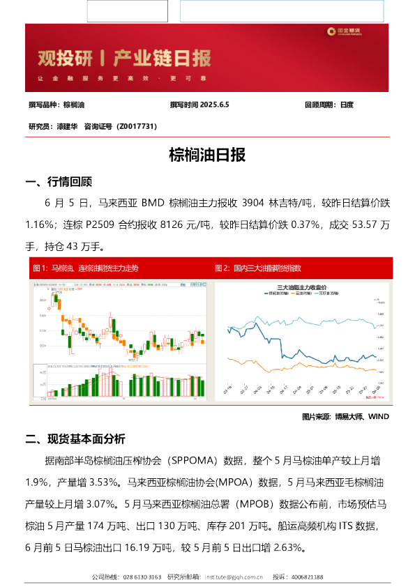 棕榈油日报