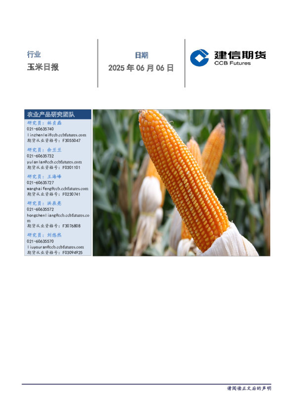 玉米日报