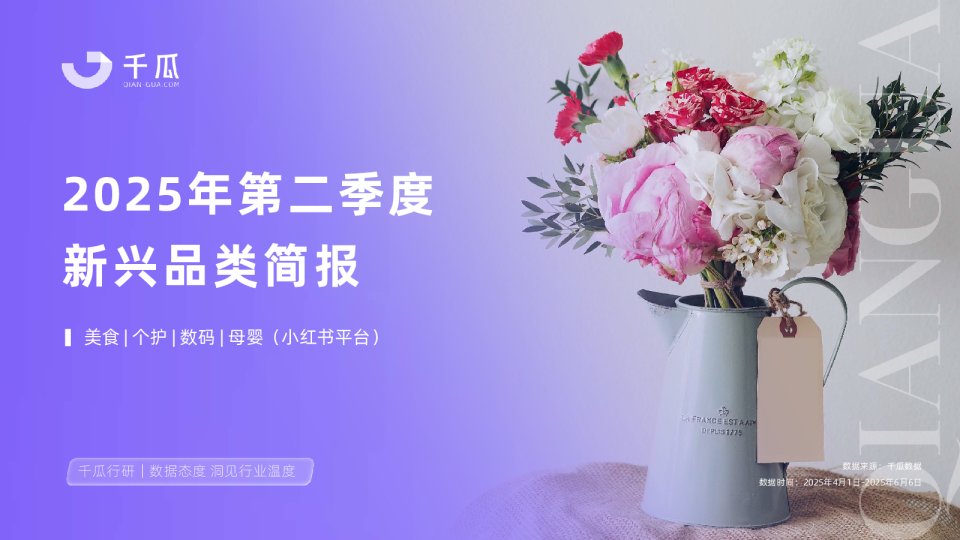 2025年第二季度新兴品类简报