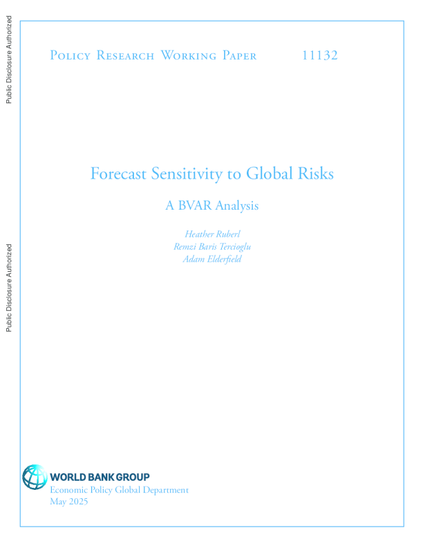 对全球风险的预测敏感性：BVAR分析2025