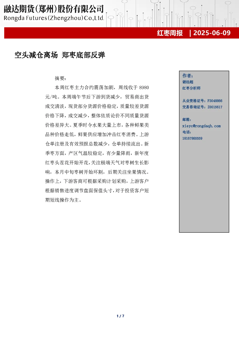 报告封面