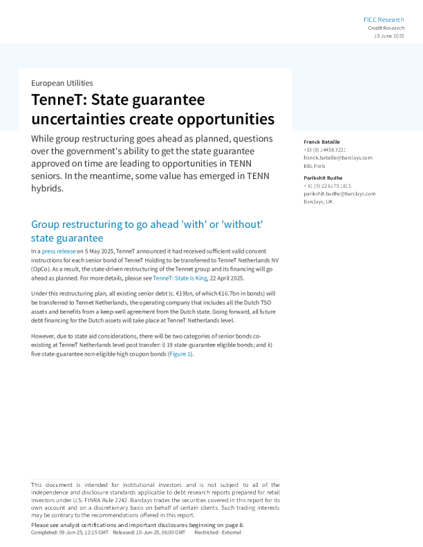 TenneT：国家担保的不确定性创造机会