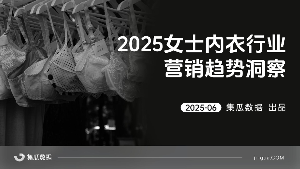 2025女士内衣行业营销趋势洞察