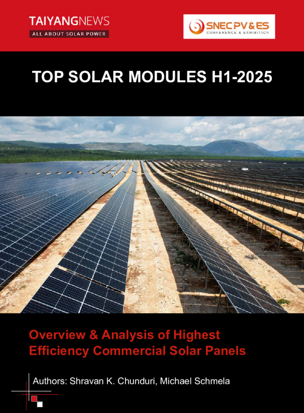 2025年上半年顶级光伏组件报告