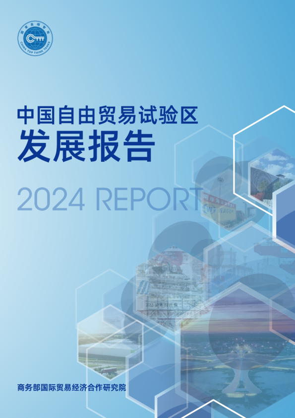 2024中国自由贸易试验区发展报告