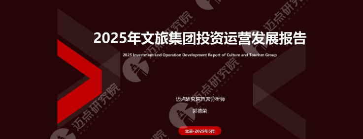 2025年文旅集团投资运营发展报告
