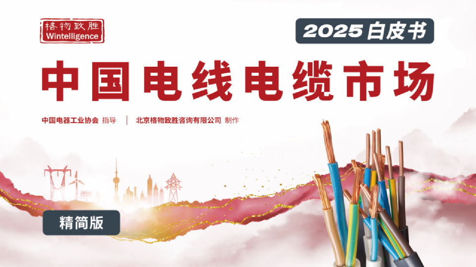 2025中国电线电缆市场白皮书（精简版）