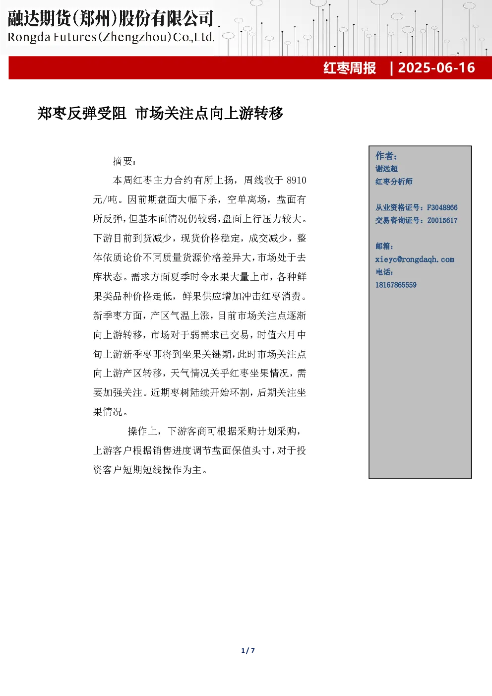 报告封面