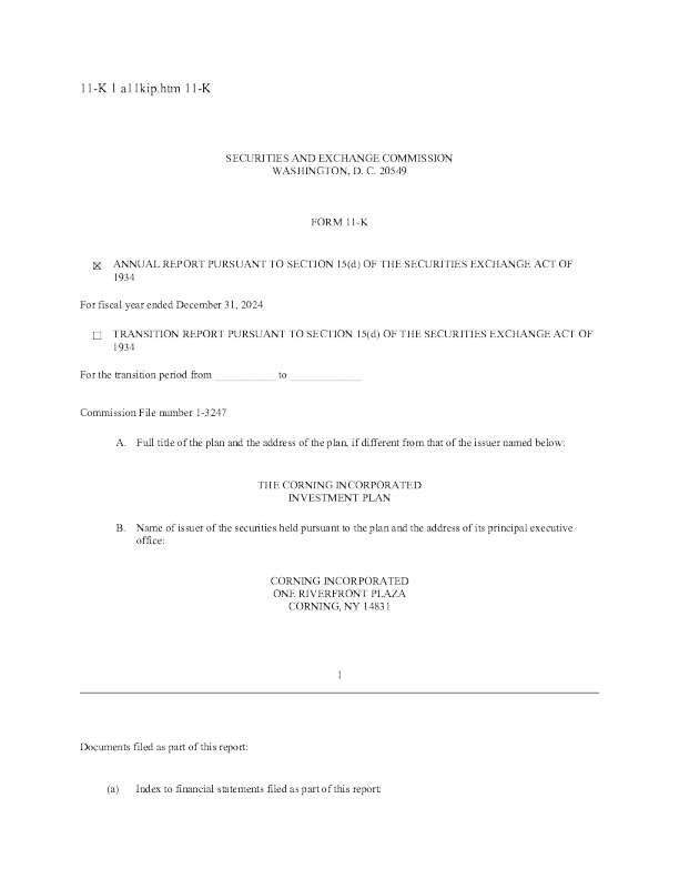 康宁 2024年度报告