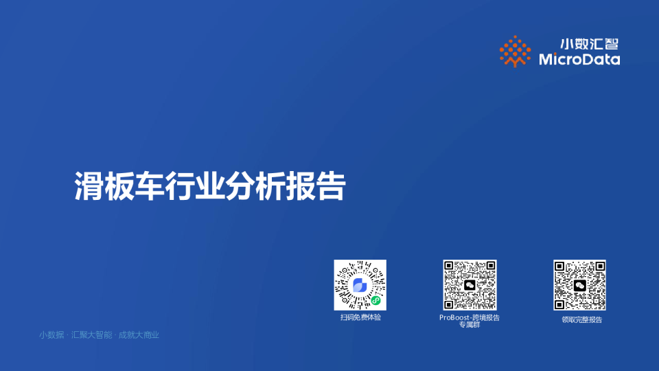 滑板车行业分析报告