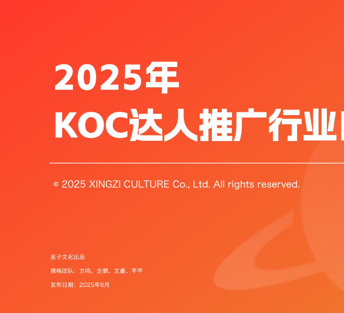 2025年KOC达人推广行业白皮书