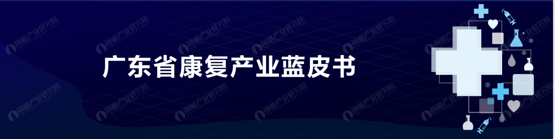 广东省康复产业蓝皮书