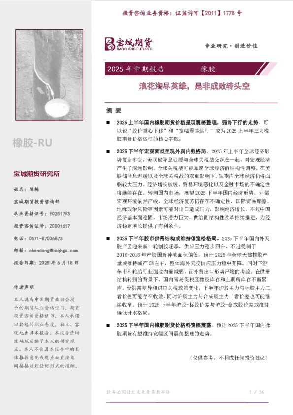 2025年中期报告橡胶