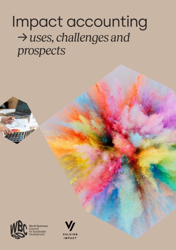 影响会计：用途、挑战和前景