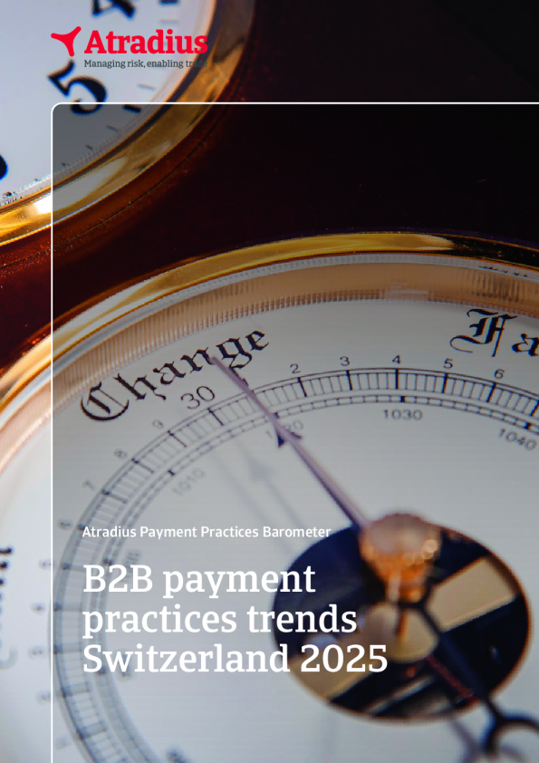 2025年瑞士B2B支付实践趋势