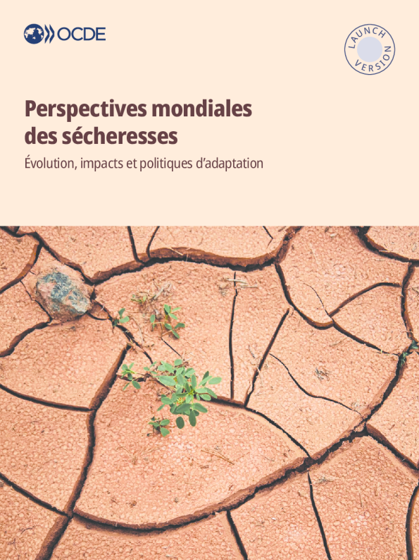 全球干旱展望：演变、影响与适应政策