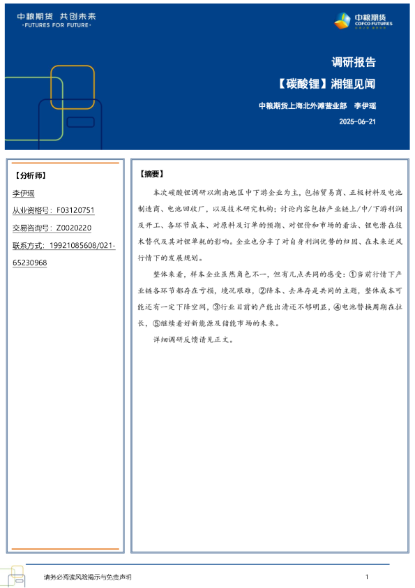 【调研报告】湘锂见闻