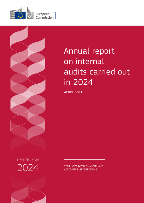 2024年内部审计年度报告