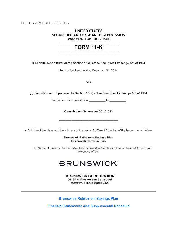 布朗斯威克 2024年度报告