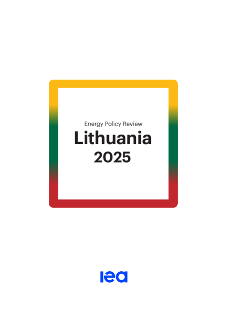 立陶宛2025年能源政策述评