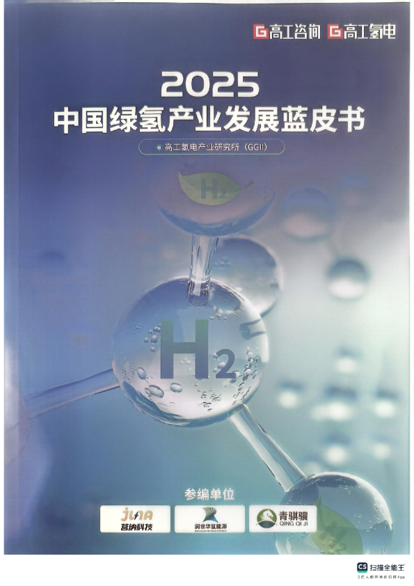 2025中国绿氢产业发展蓝皮书