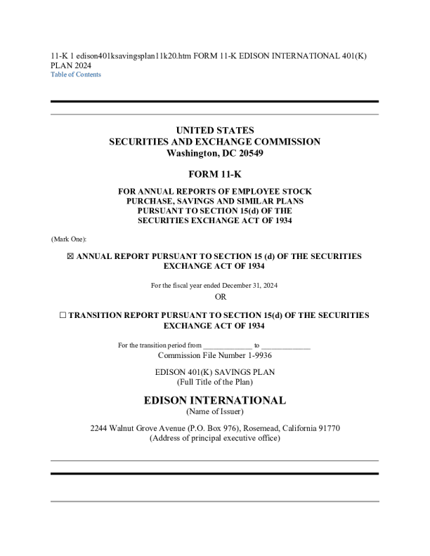 爱迪生国际 2024年度报告
