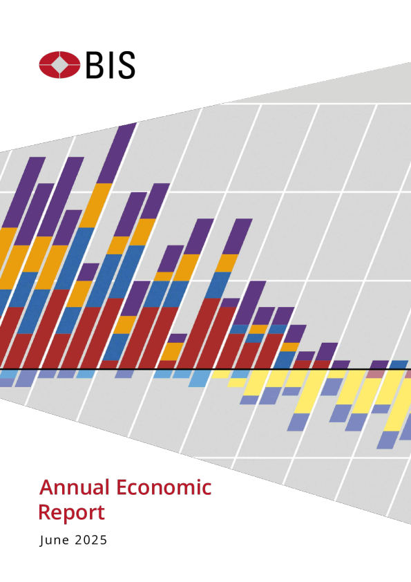 2025年度经济报告