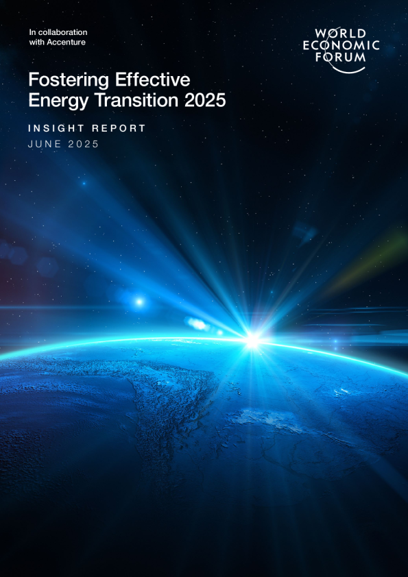 促进2025年有效的能源转型（英）