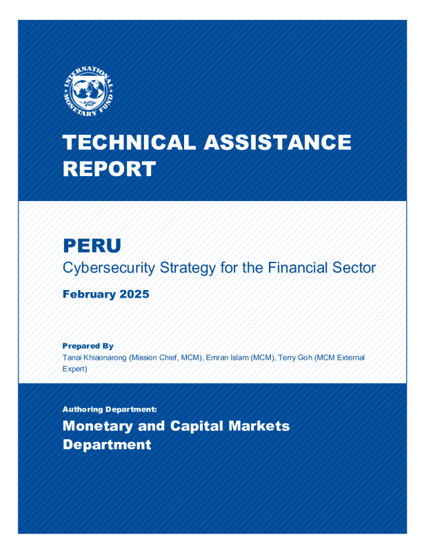 秘鲁：金融部门网络安全战略技术援助报告（英）