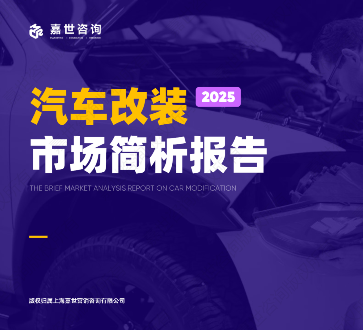 2025汽车改装行业简析报告