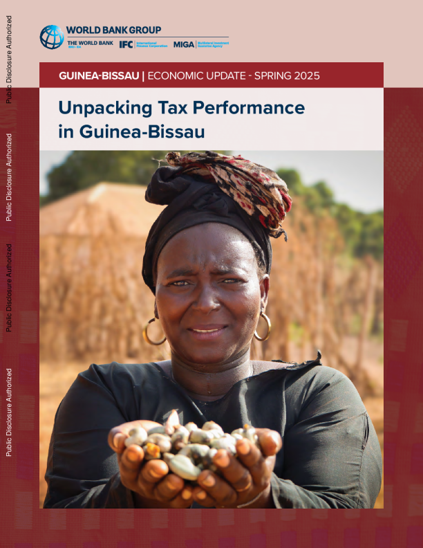 几内亚比绍：2025年春季经济动态报告：税收表现深度解析