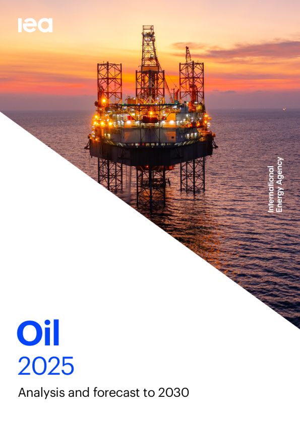 2025-2030年石油的分析和预测