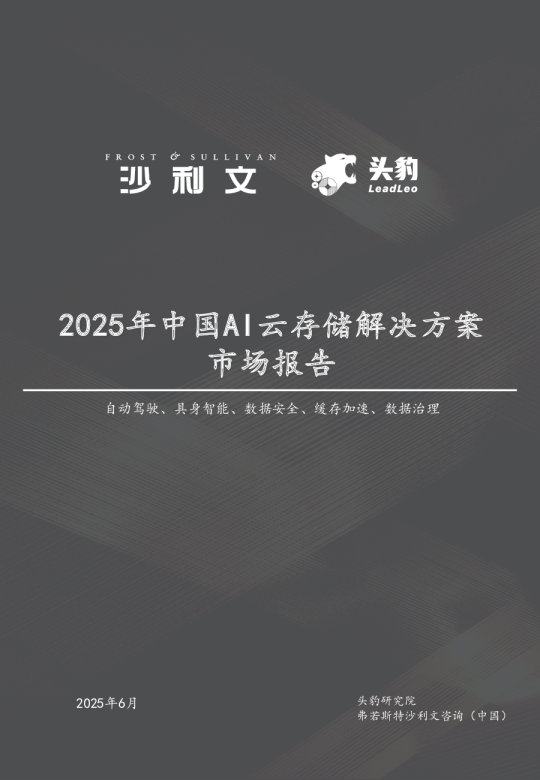 2025年中国AI云存储解决方案市场报告