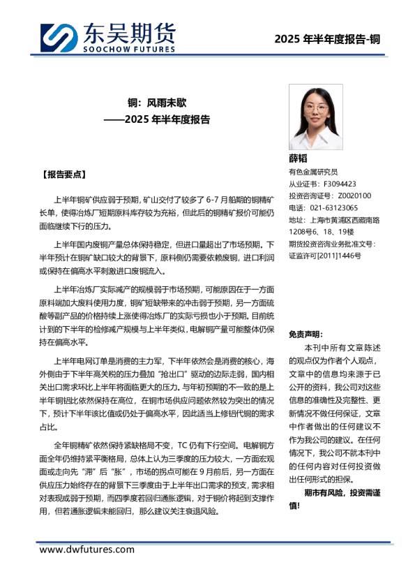 2025年半年度报告：铜-风雨未歇