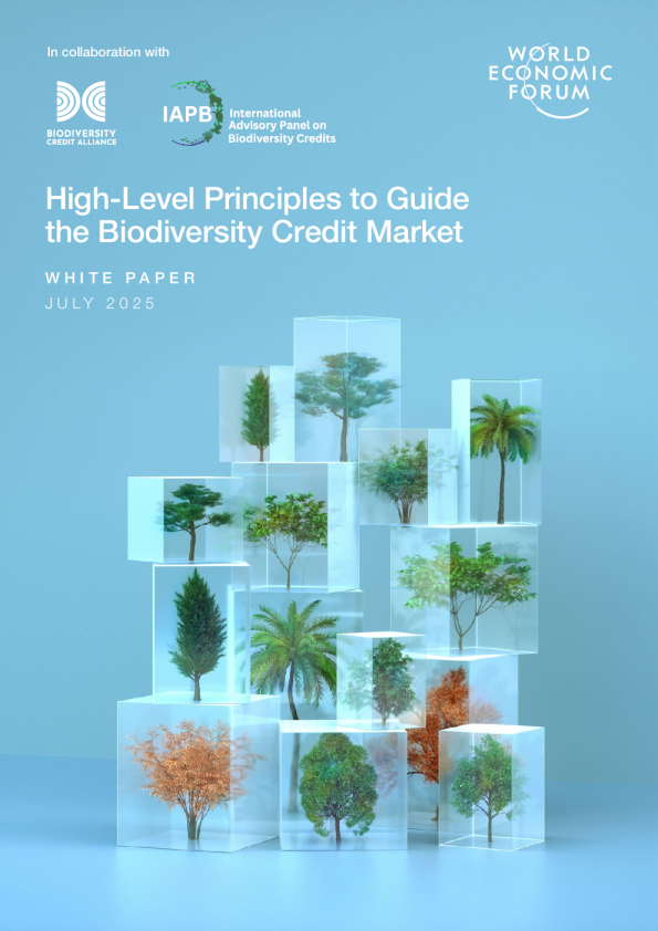 生物多样性信贷市场高层指导原则