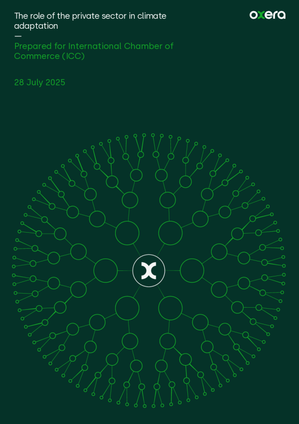 私营部门在气候适应中的作用为国际商会（ICC）准备（英）