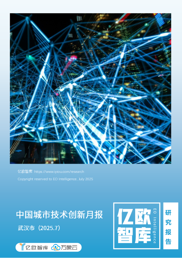 中国城市技术创新月报：武汉市（2025.7）