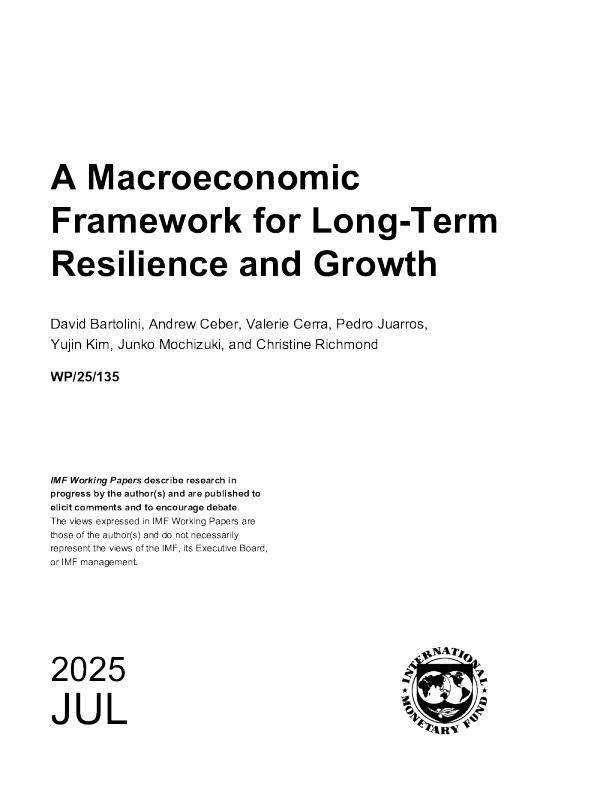 长期韧性与增长的宏观经济框架