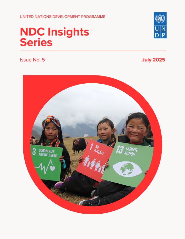 NDC洞察系列（英）