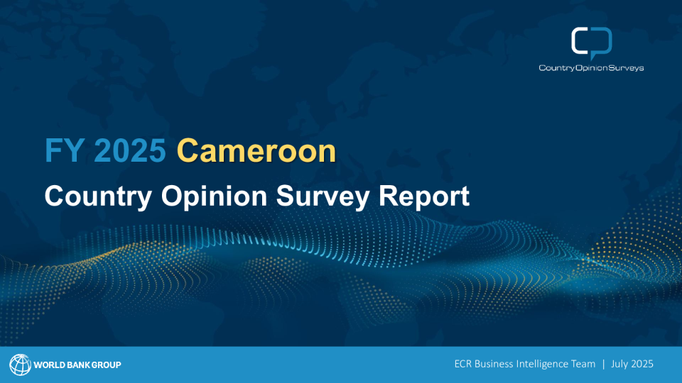 2025财年喀麦隆国家意见调查报告