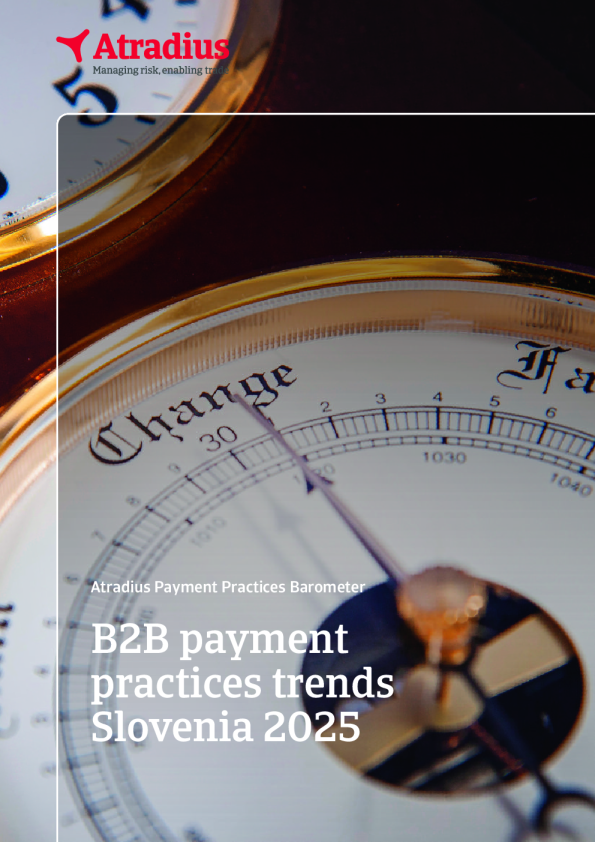 Slovenia 2025 B2B payment practice trends