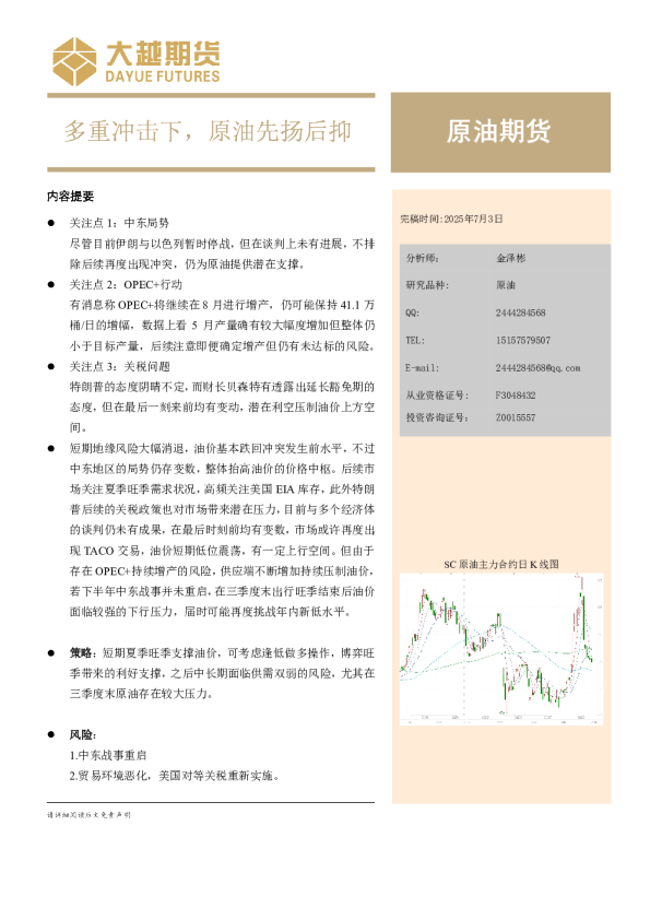 2025年原油半年报
