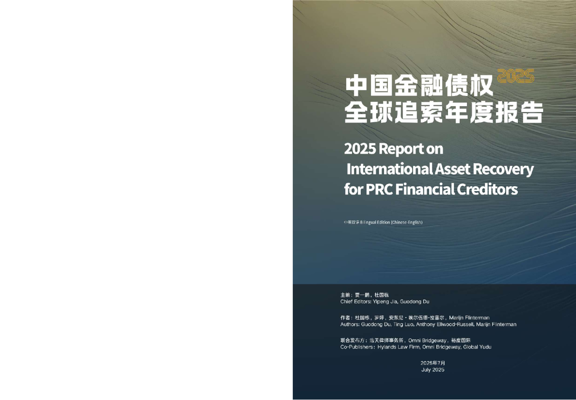 2025中国金融债权全球追索年度报告