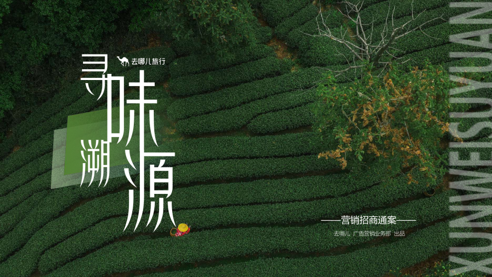 寻味溯源 【去哪儿】营销招商通案