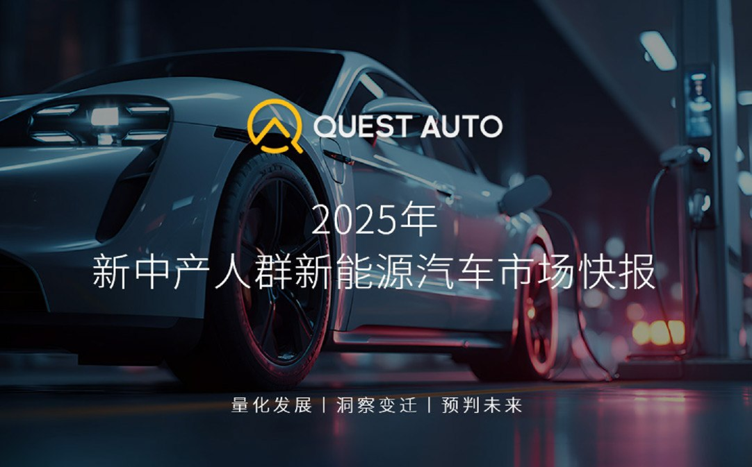 2025年新中产人群新能源汽车市场快报