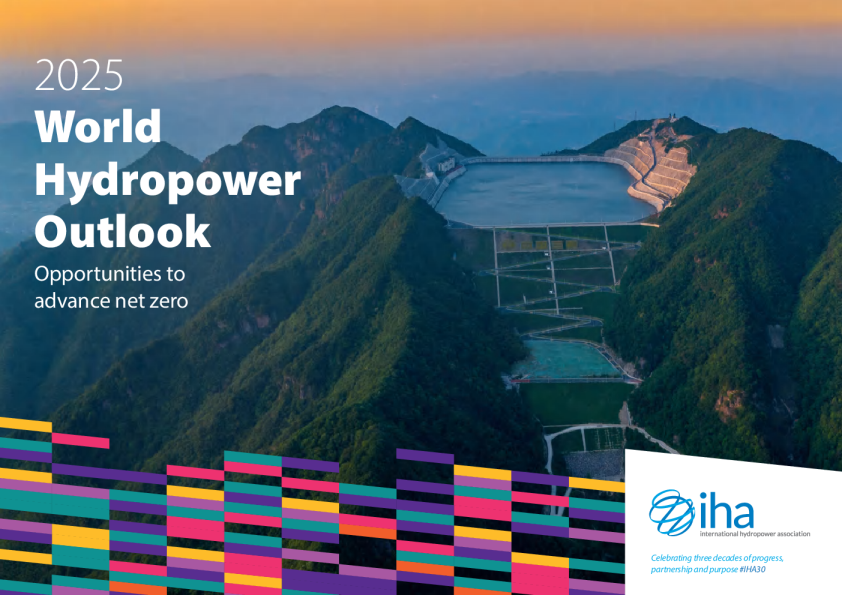 2025年世界水电展望