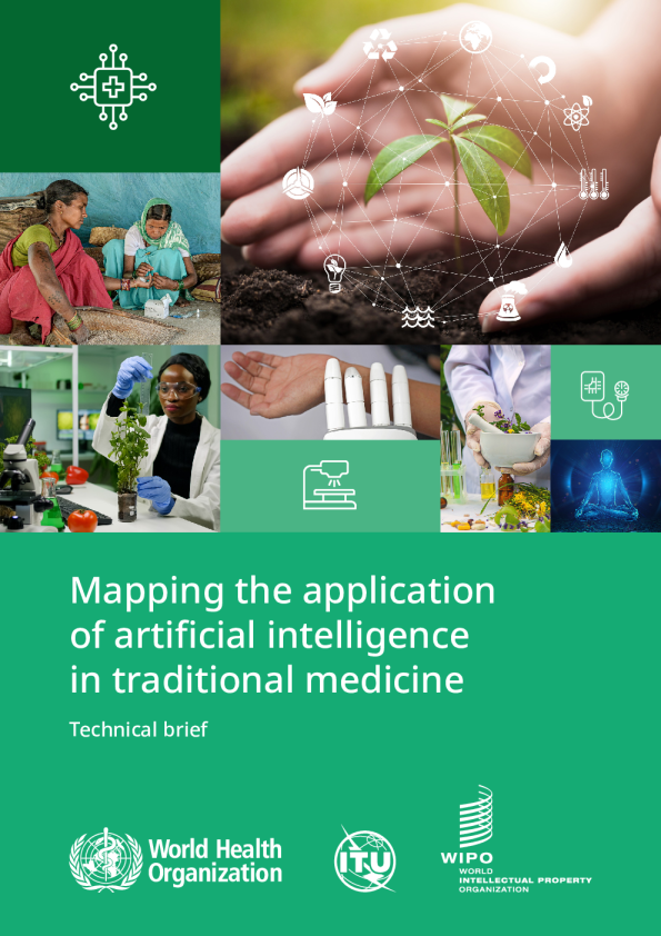 绘制人工智能在传统医学中的应用：技术简报