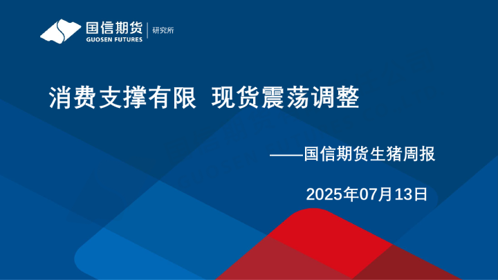 消费支撑有限 现货震荡调整