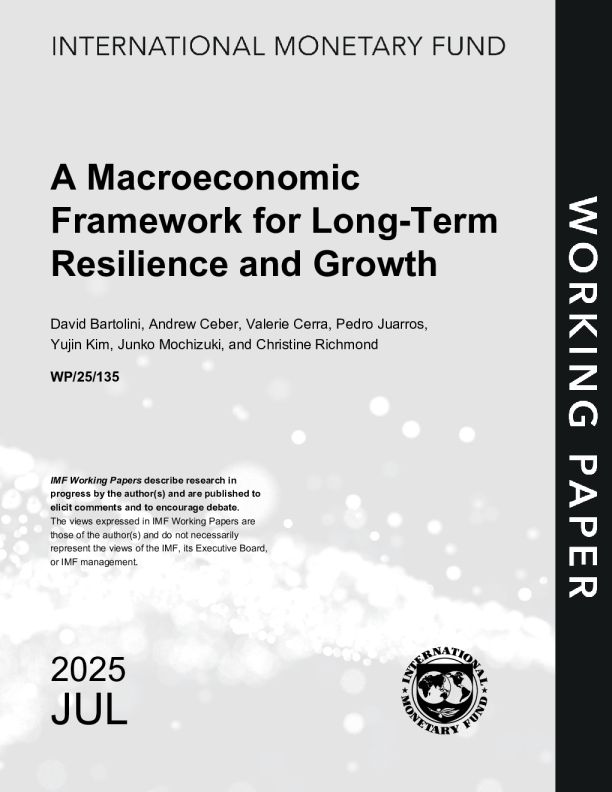 imf-长期弹性和增长的宏观经济框架